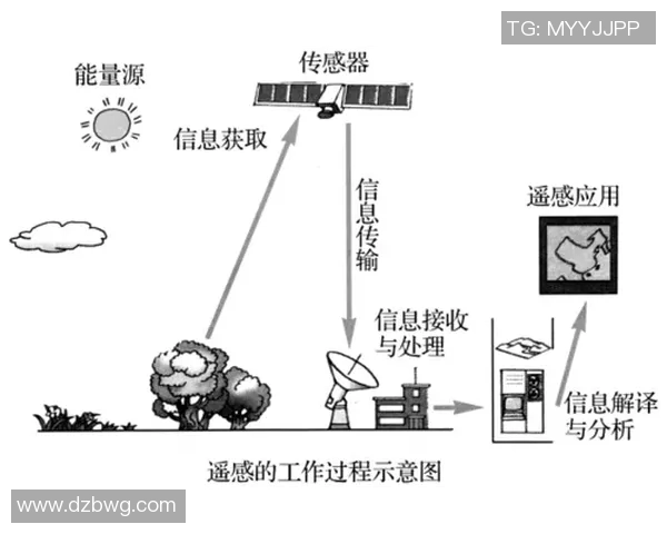 武汉乒乓球队边路渗透战术解析与应用探讨 武汉乒乓球队边路渗透战术解析与应用探讨